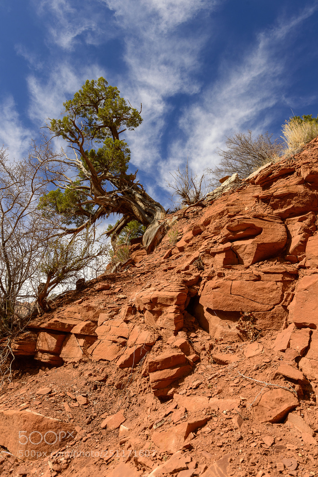 Nikon D800 sample photo. Watchman trail photography