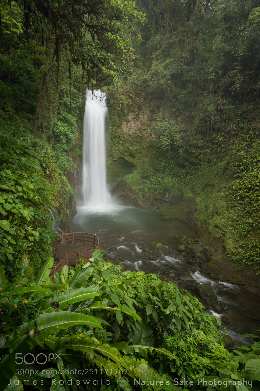 Nikon D3200 sample photo. La paz waterfall photography