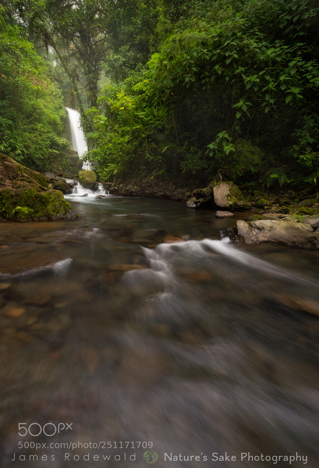Nikon D3200 sample photo. La paz waterfall garden photography