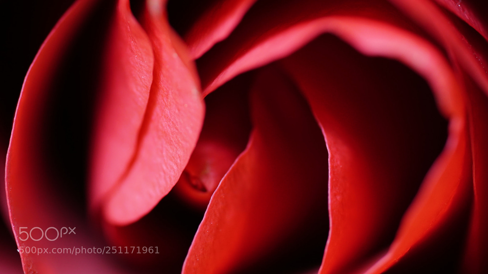 Sony a6000 sample photo. Dsc photography