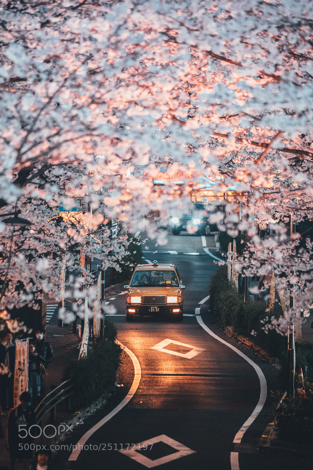 Canon EOS 5D Mark IV sample photo. Sakura road photography