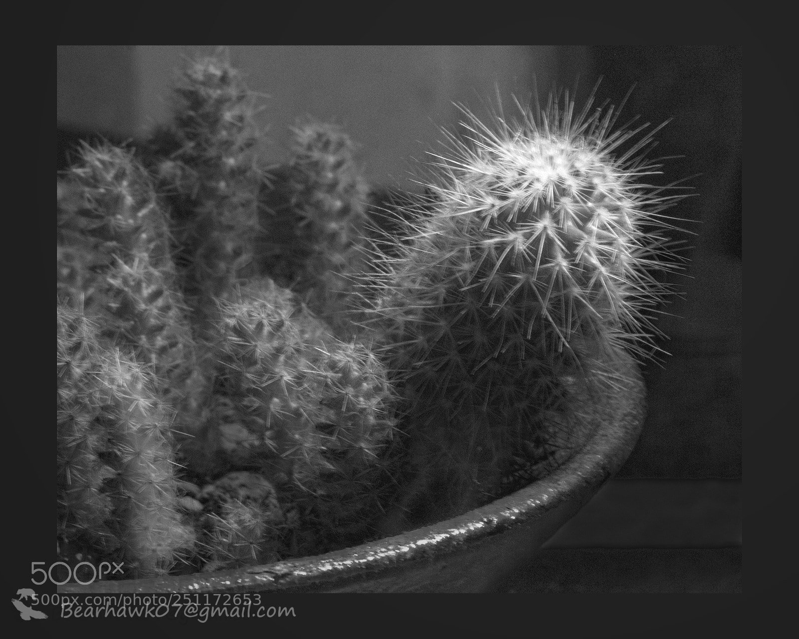 Nikon D7200 sample photo. Copy photography