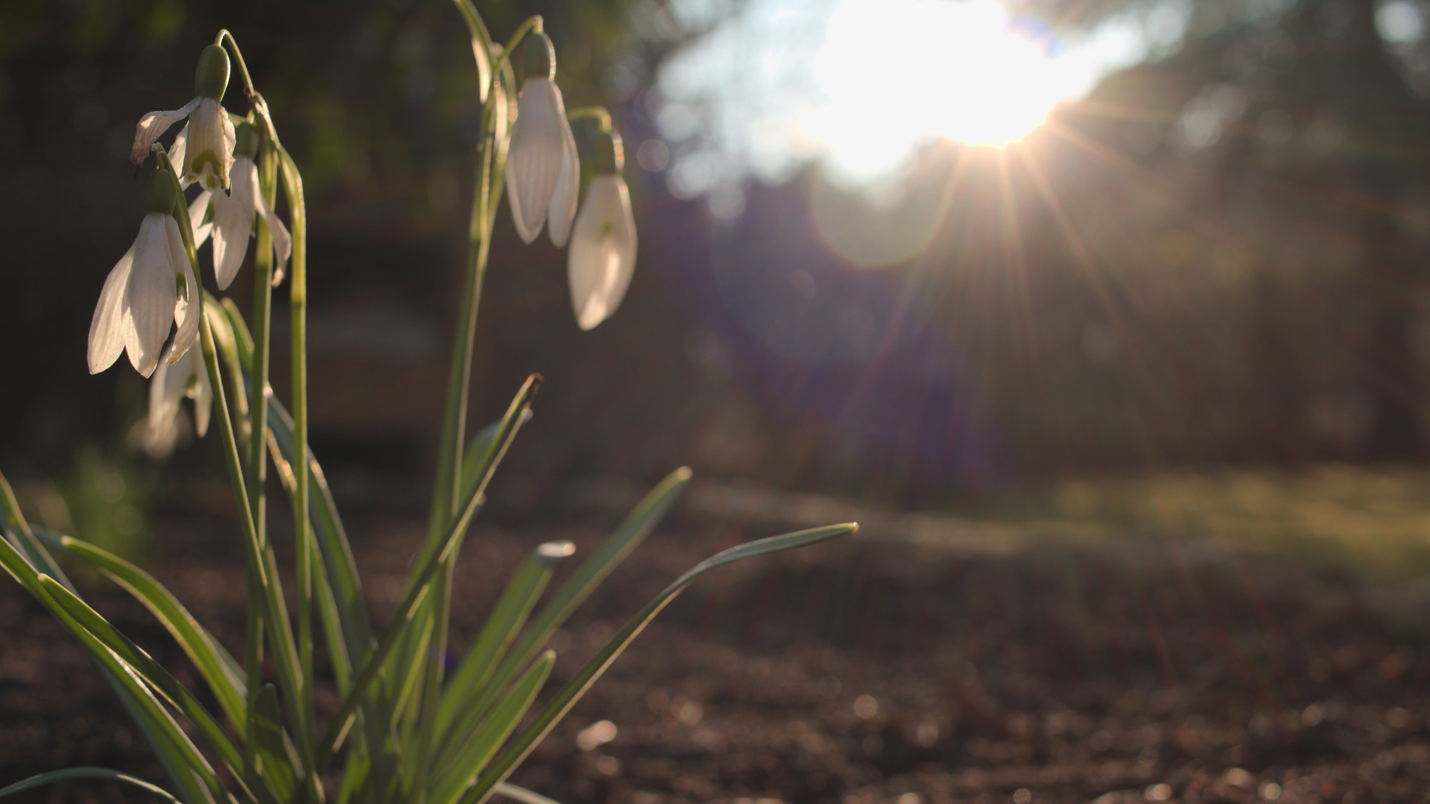 Canon EF-S 24mm F2.8 STM sample photo