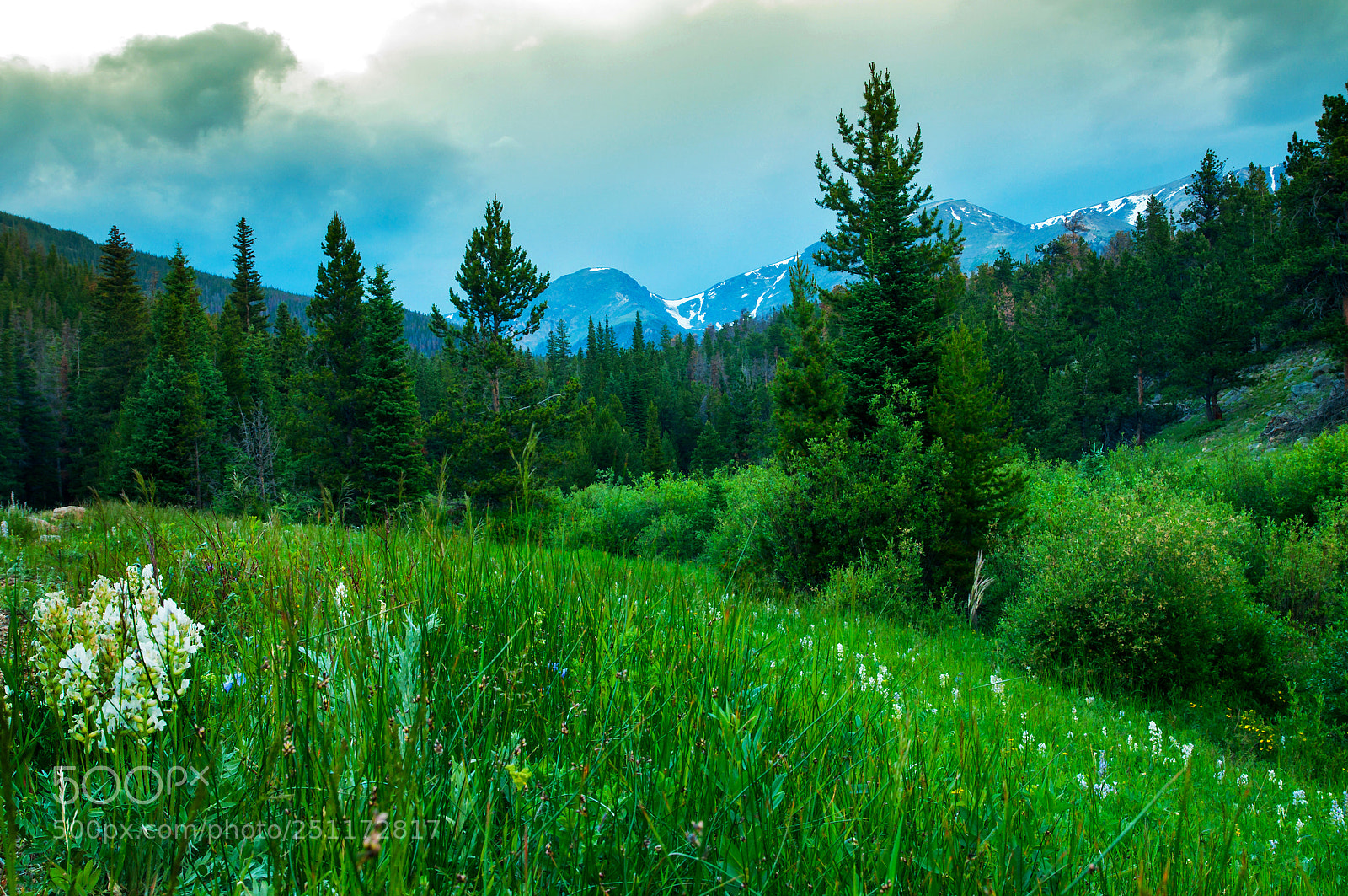 Nikon D300 sample photo. Mountain scene photography