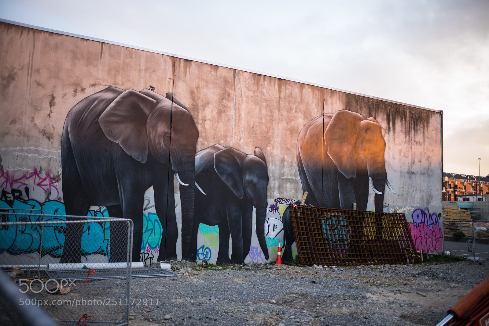 Leica M (Typ 240) sample photo. Elephant photography