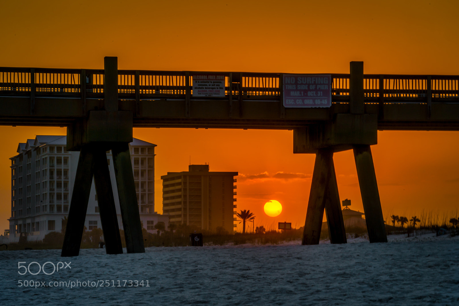 Sony a9 sample photo. Bright sun at golden photography