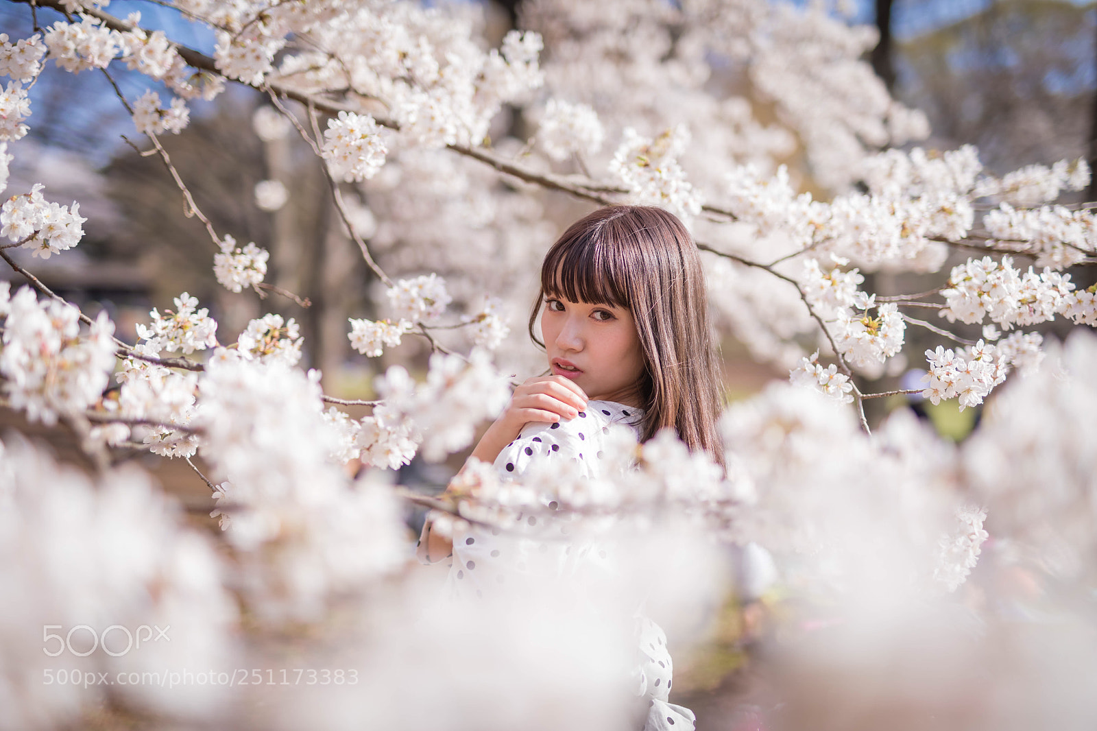 Canon EOS 5D Mark IV sample photo. Pretty, pretty, pretty photography