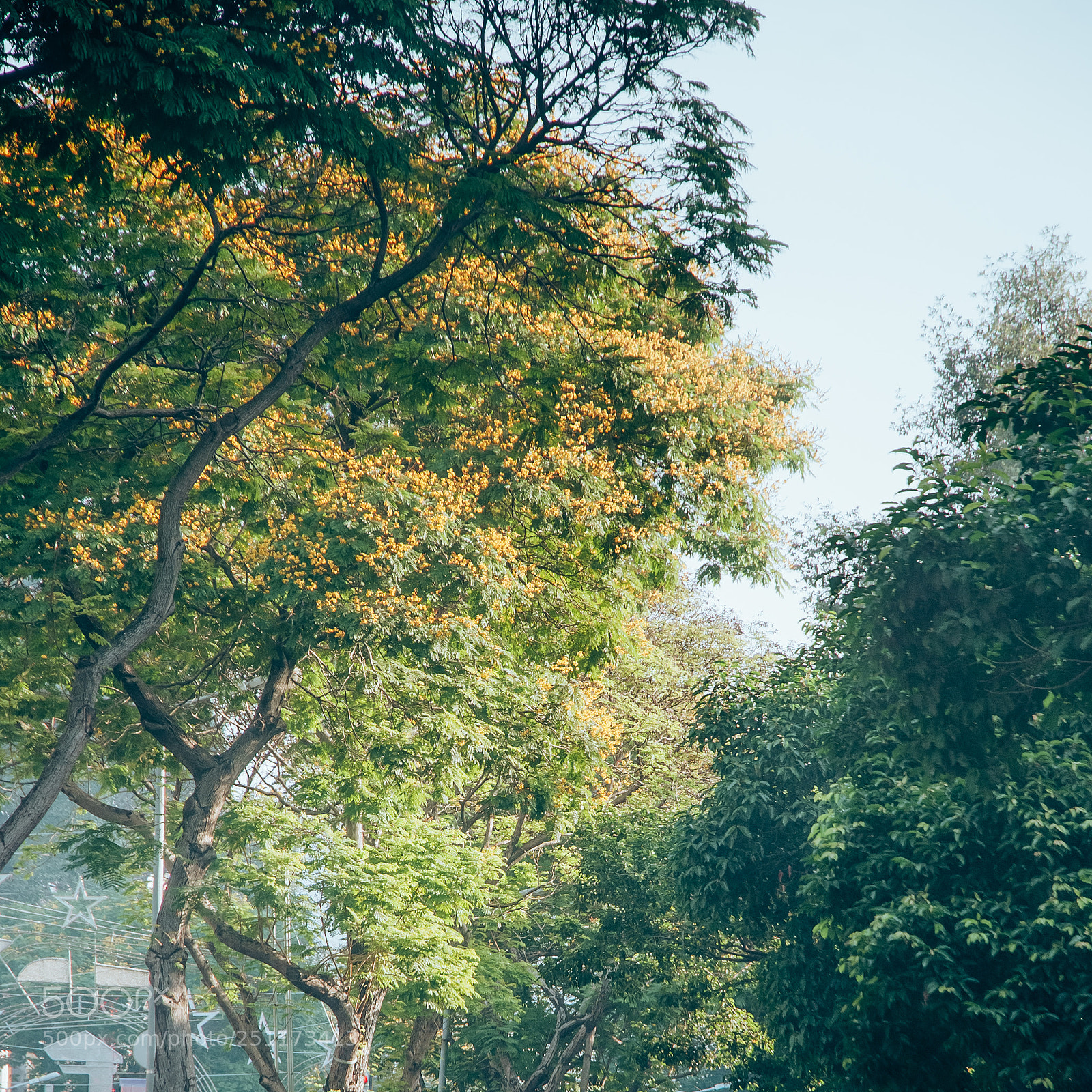 Nikon D80 sample photo. Green photography