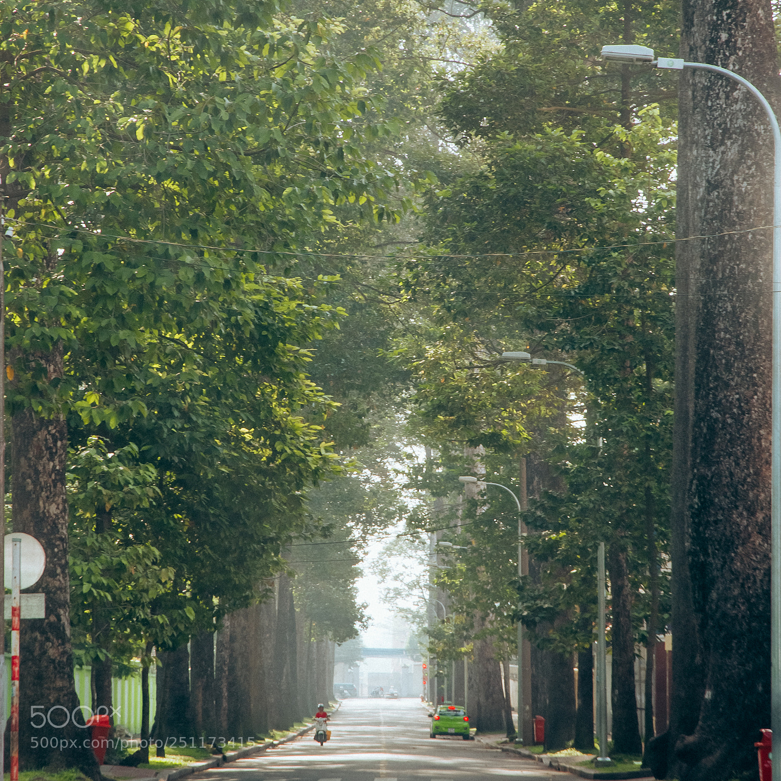 Nikon D80 sample photo. Boulevard photography