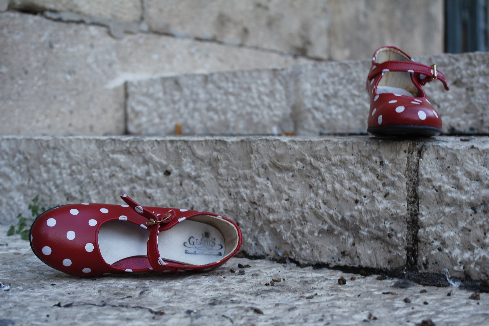 Canon EF 28-80mm f/3.5-5.6 sample photo. Ceniflamenca photography