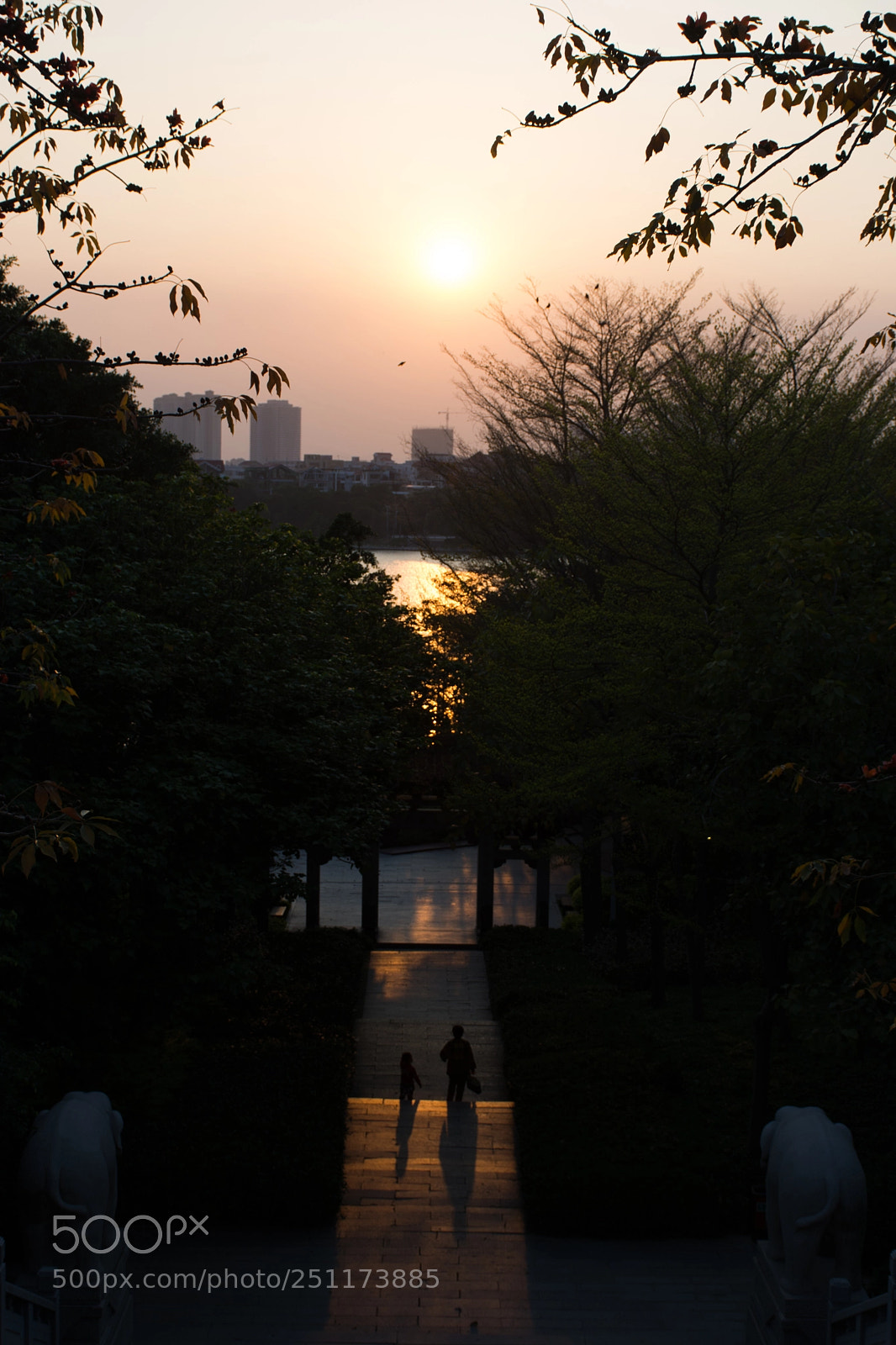 Nikon D7100 sample photo. Untitled photography