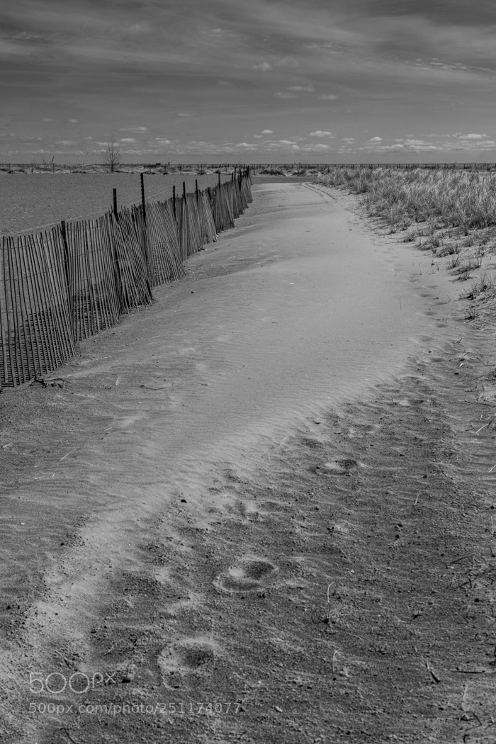 Nikon D850 sample photo. Lake michigan path broken photography
