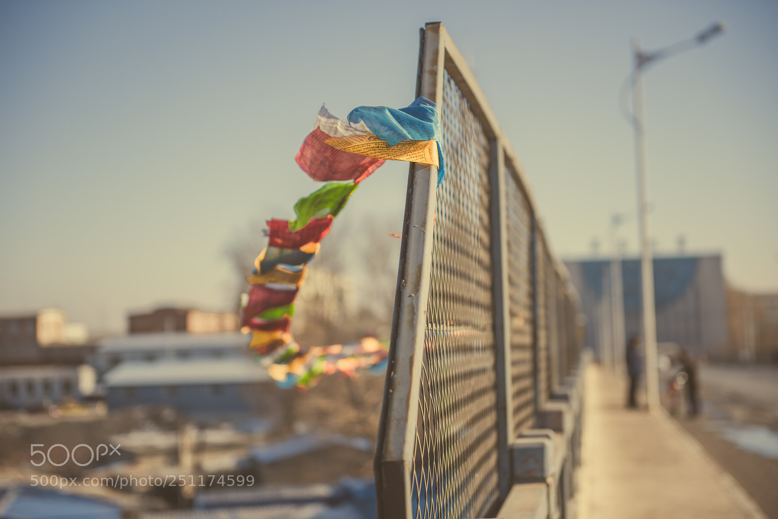 Nikon D810 sample photo. Untitled photography