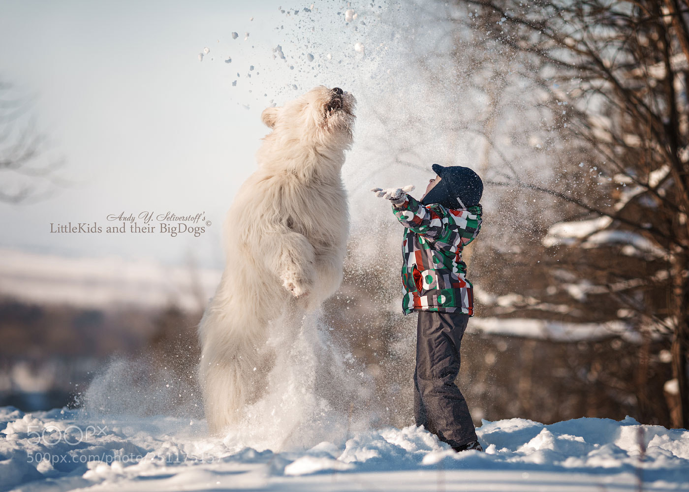 Canon EOS 5D Mark IV sample photo. South russian sheepdog photography