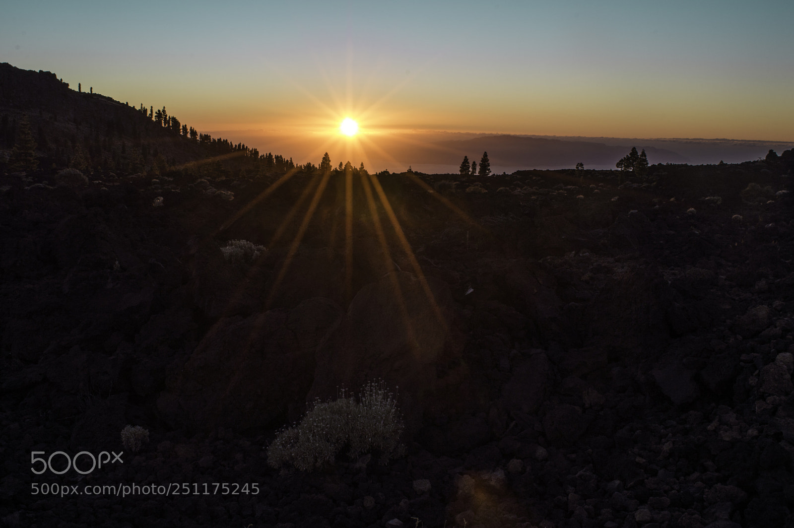 Nikon D3200 sample photo. Tenerife photography