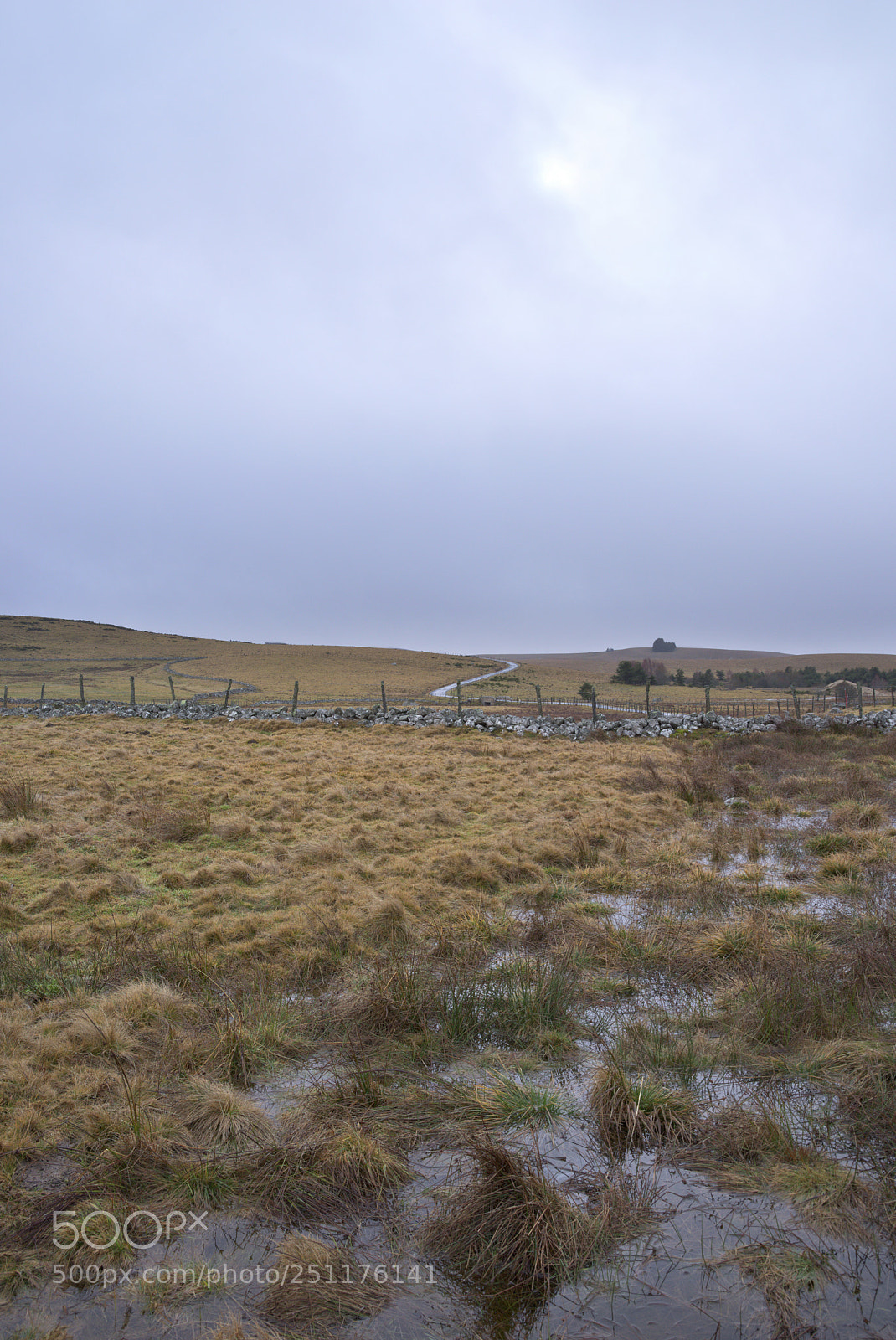 Pentax K-1 sample photo. Aubrac sous la pluie photography