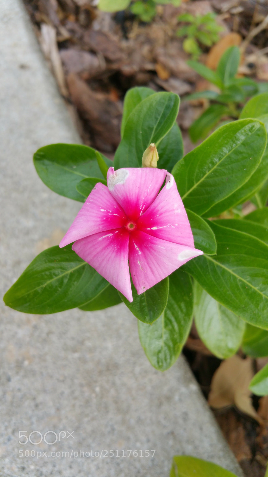 Samsung Galaxy Note4 sample photo. Pentagon  photography