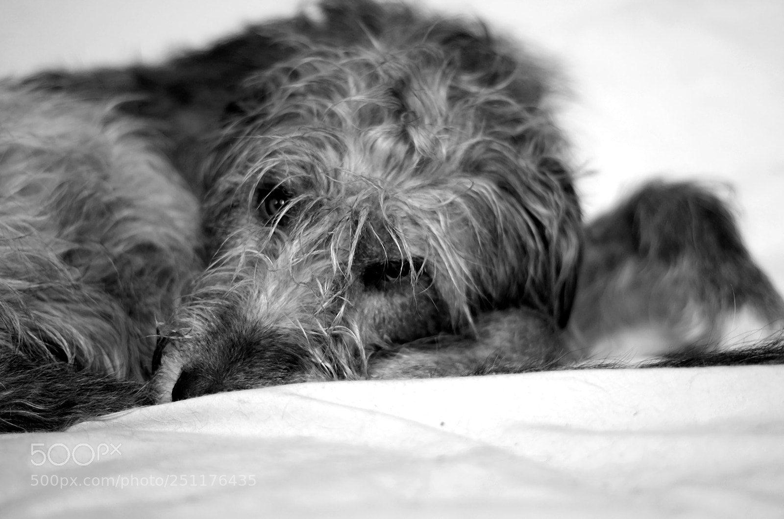 Pentax K-5 sample photo. Untitled photography