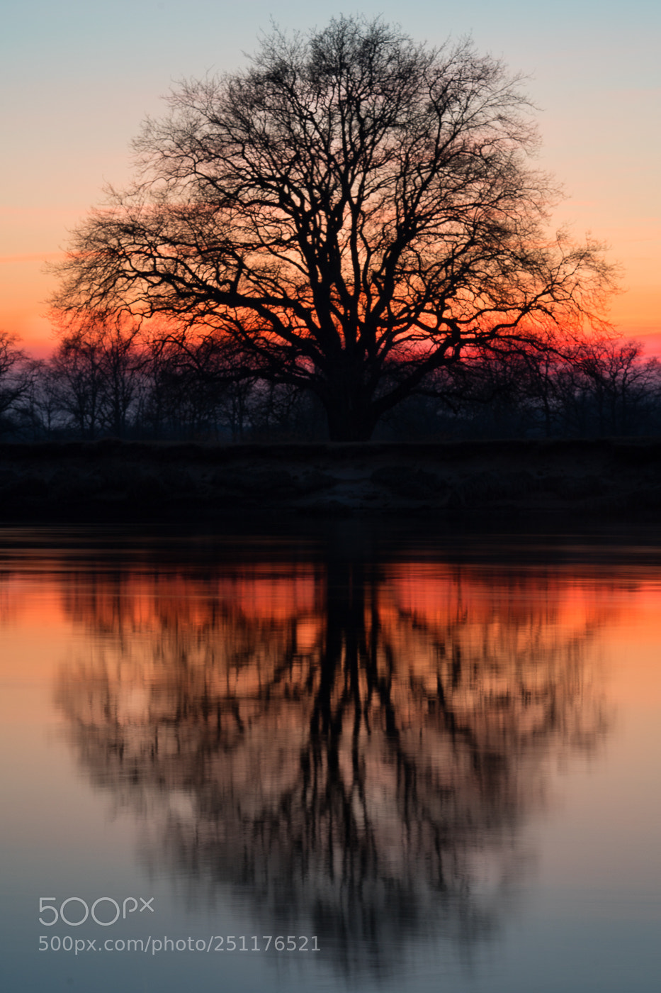 Sony a7 II sample photo. Rogalin photography