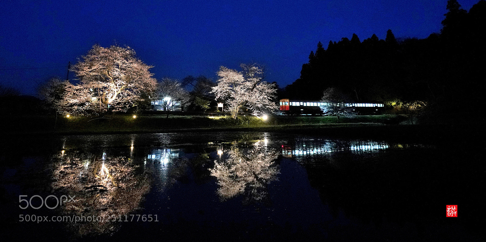 Sony a7R III sample photo. Cherry at night 0328 photography