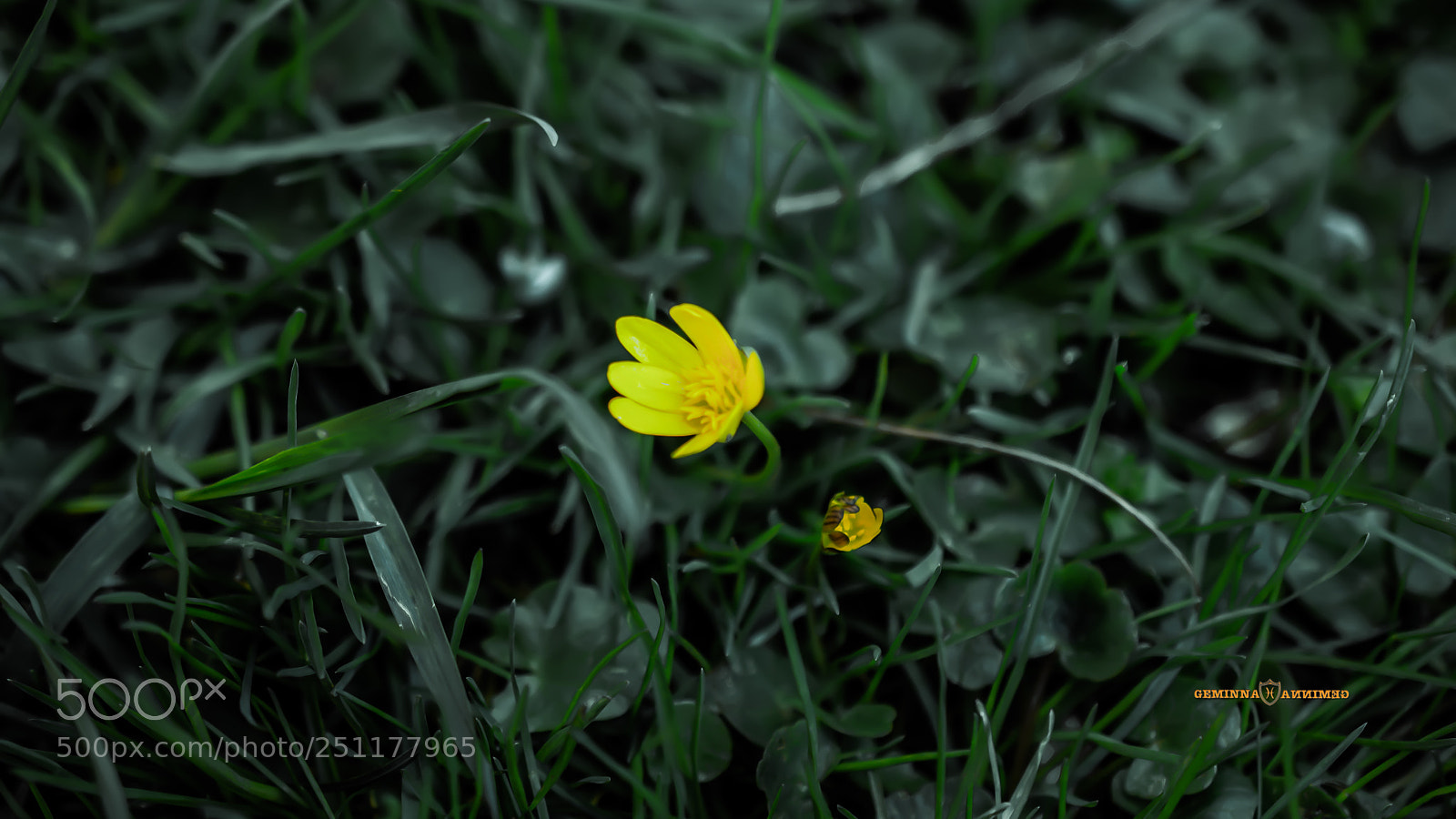Nikon D5300 sample photo. Life photography