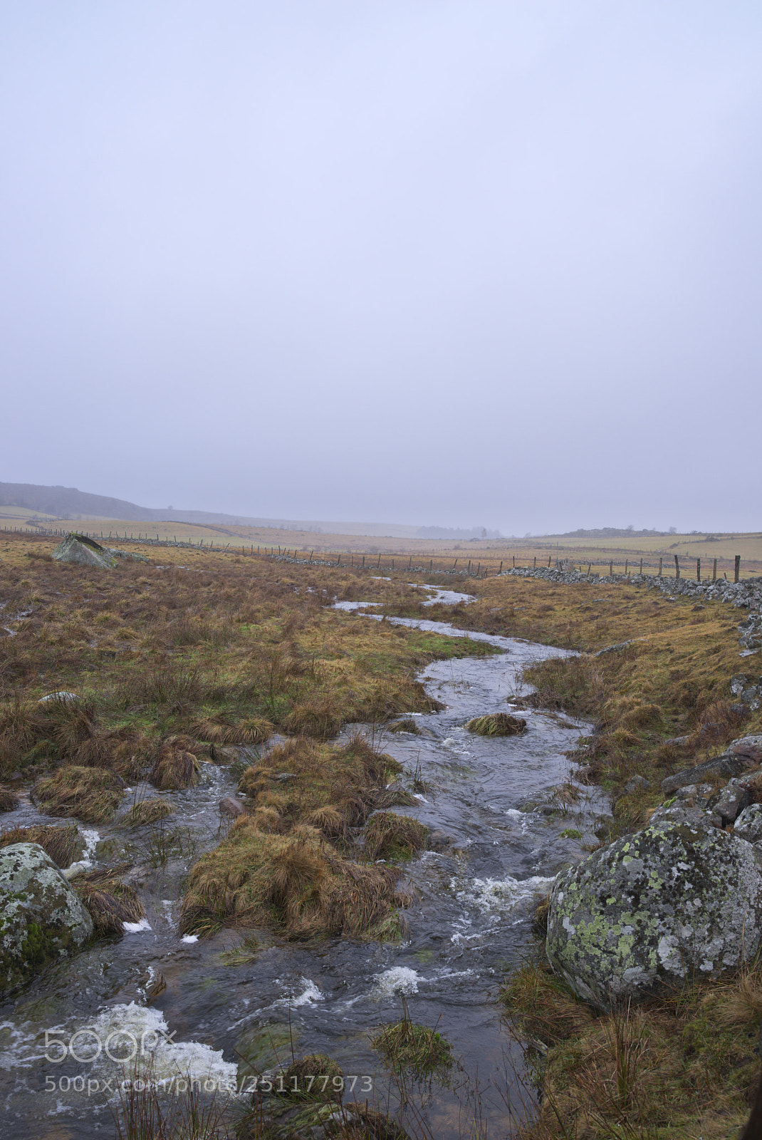 Pentax K-1 sample photo. Aubrac sous la pluie photography