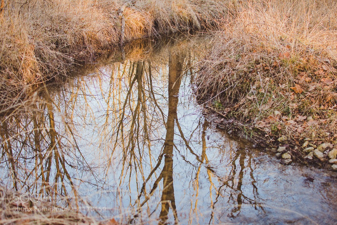 Nikon D3400 sample photo. Untitled photography