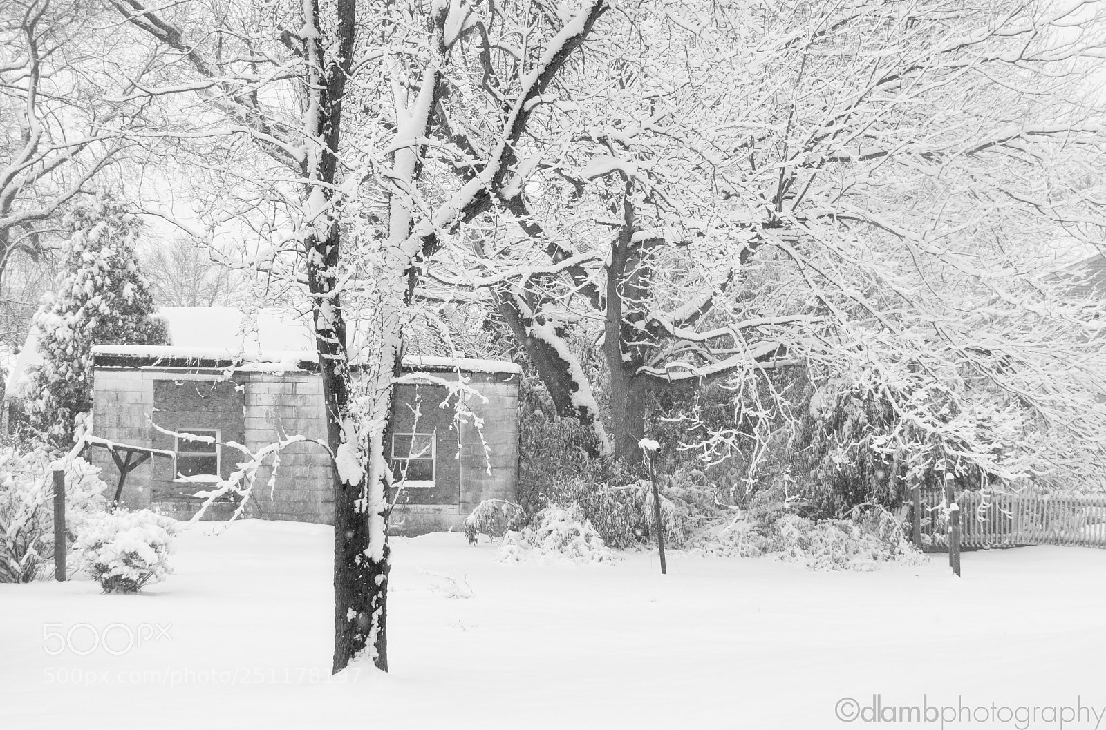 Canon EOS 70D sample photo. Backyard snowscape photography