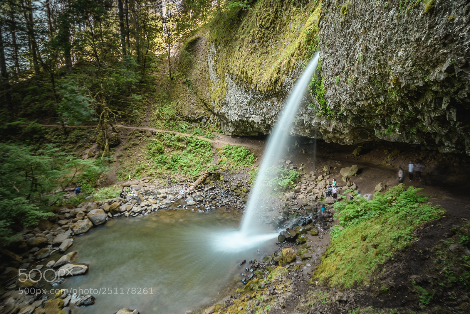 Nikon D7500 sample photo. Ponytail falls photography
