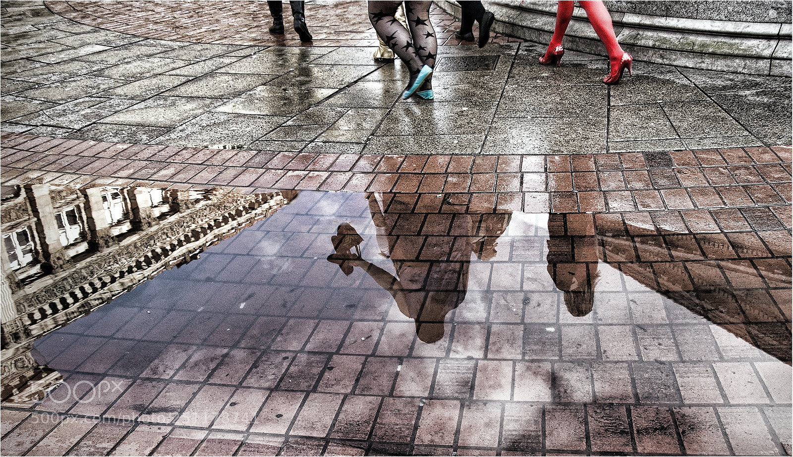 Sony Alpha DSLR-A700 sample photo. Walk on the dry photography