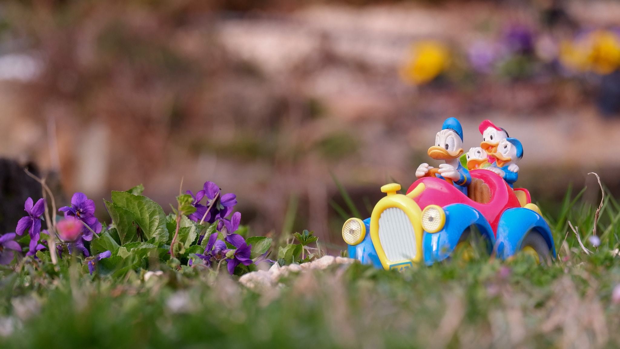 Fujifilm X-A10 sample photo. Spring in duckburg photography