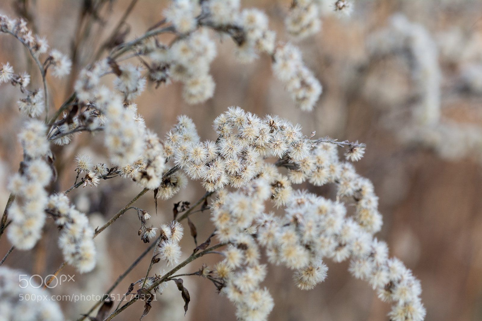 Nikon D5200 sample photo. Untitled photography