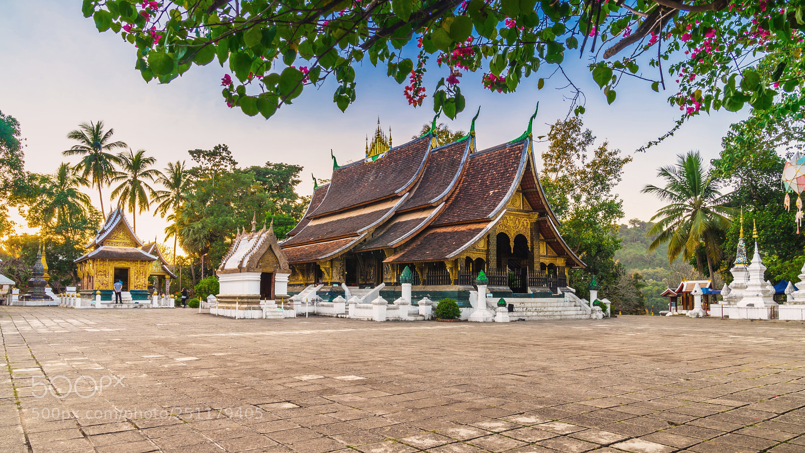 Sony a7 II sample photo. Wat xieng thong golden photography