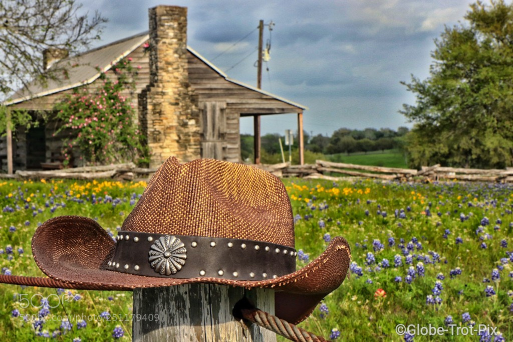 Canon EOS 80D sample photo. Its all about texas photography