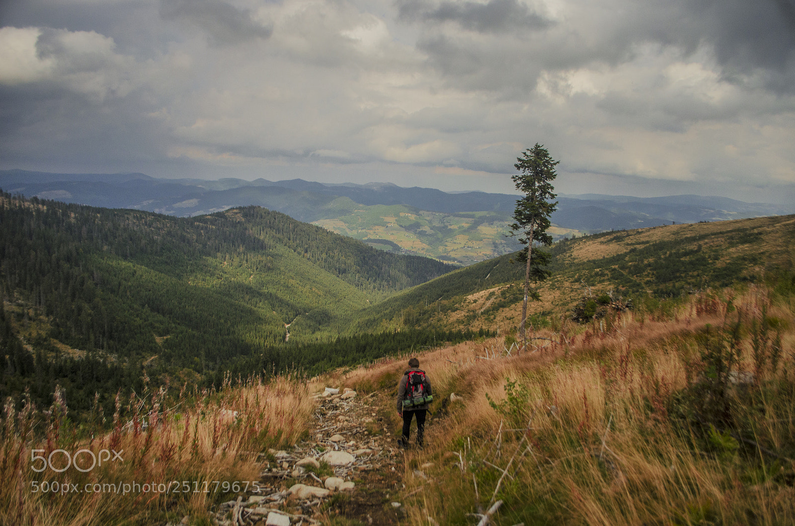 Nikon D5100 sample photo. Mountains of the bihor photography