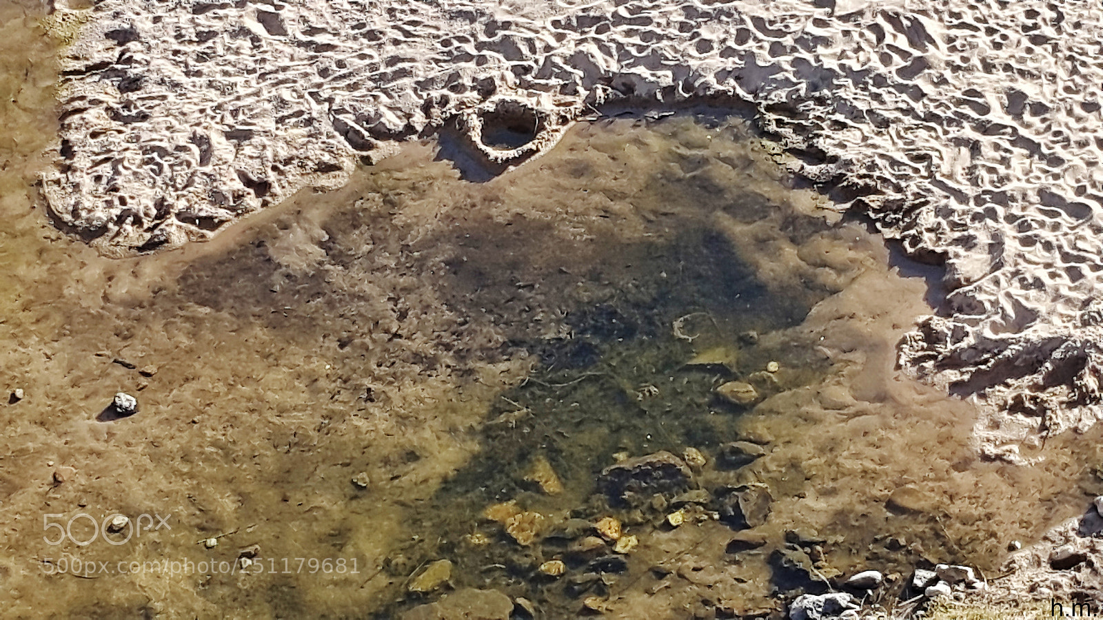 Samsung Galaxy S5 sample photo. Efo photography