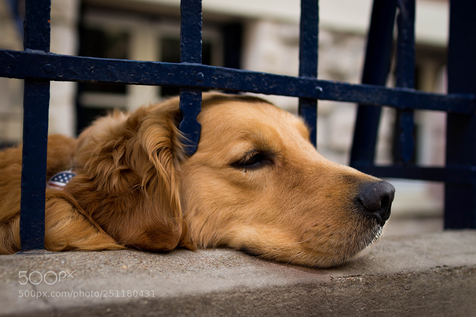Canon EOS 700D (EOS Rebel T5i / EOS Kiss X7i) sample photo. Prisoner photography