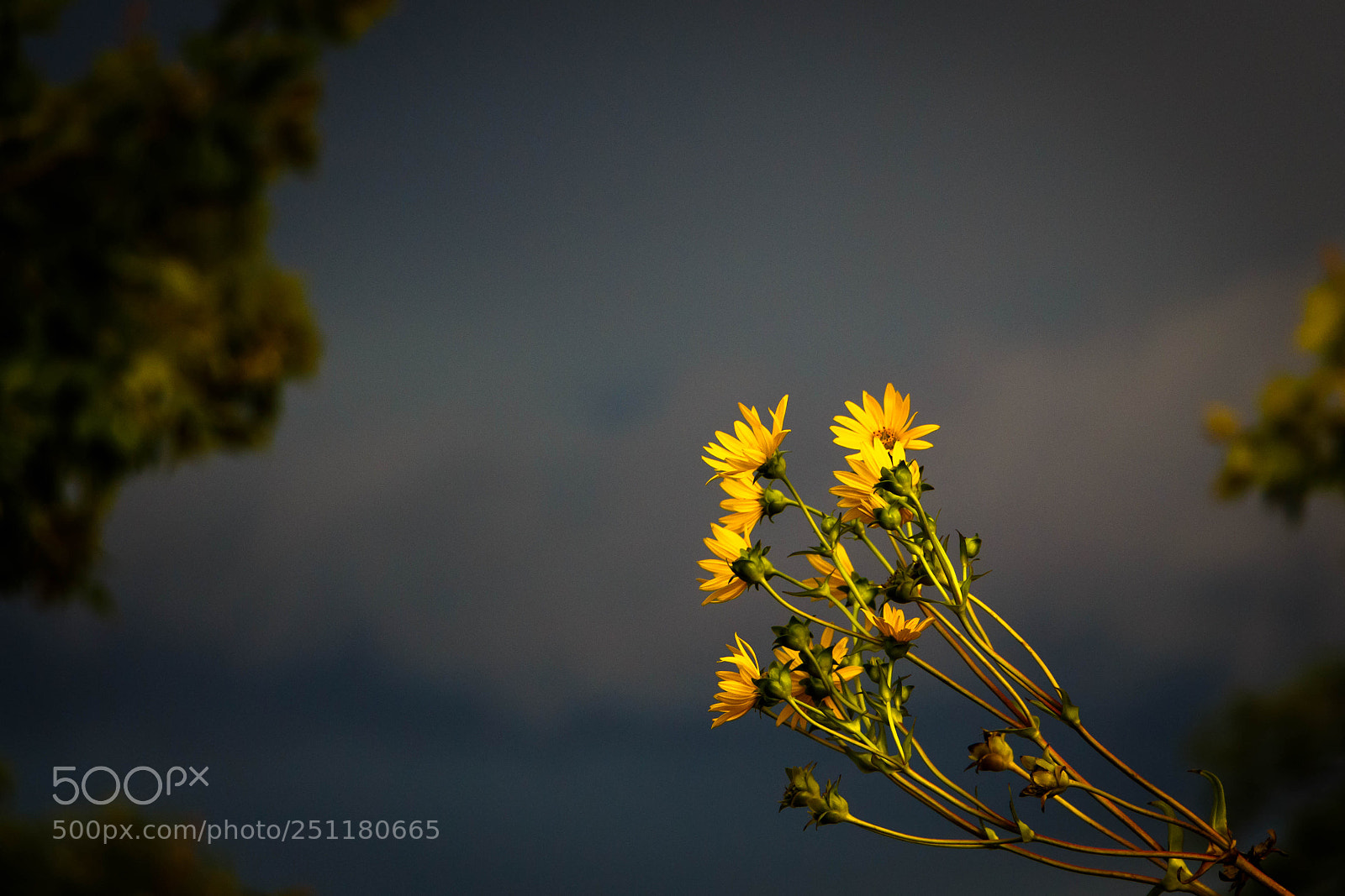 Canon EOS 700D (EOS Rebel T5i / EOS Kiss X7i) sample photo. Before the thunderstorm photography