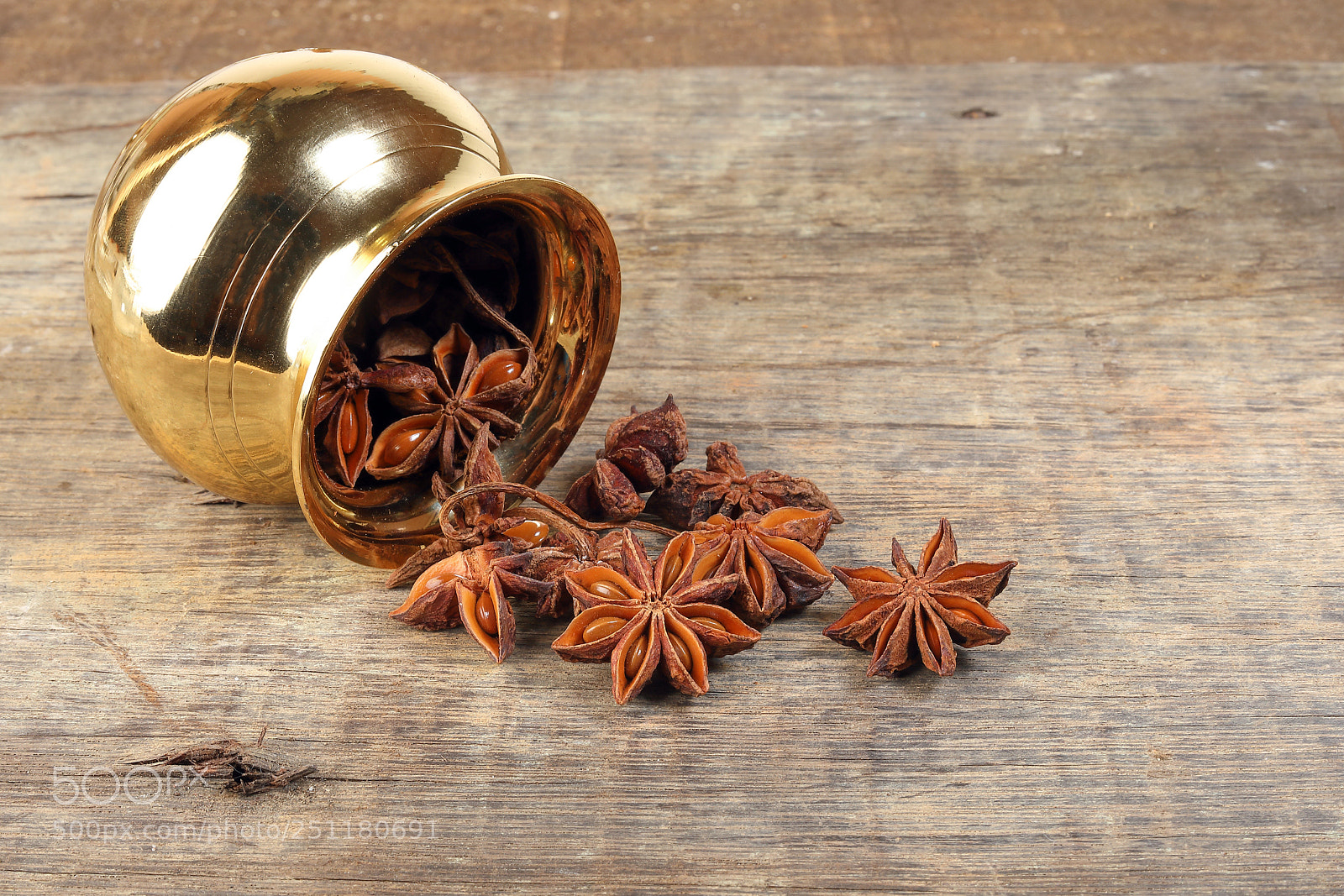 Canon EOS 5D Mark IV sample photo. Star in a pot photography