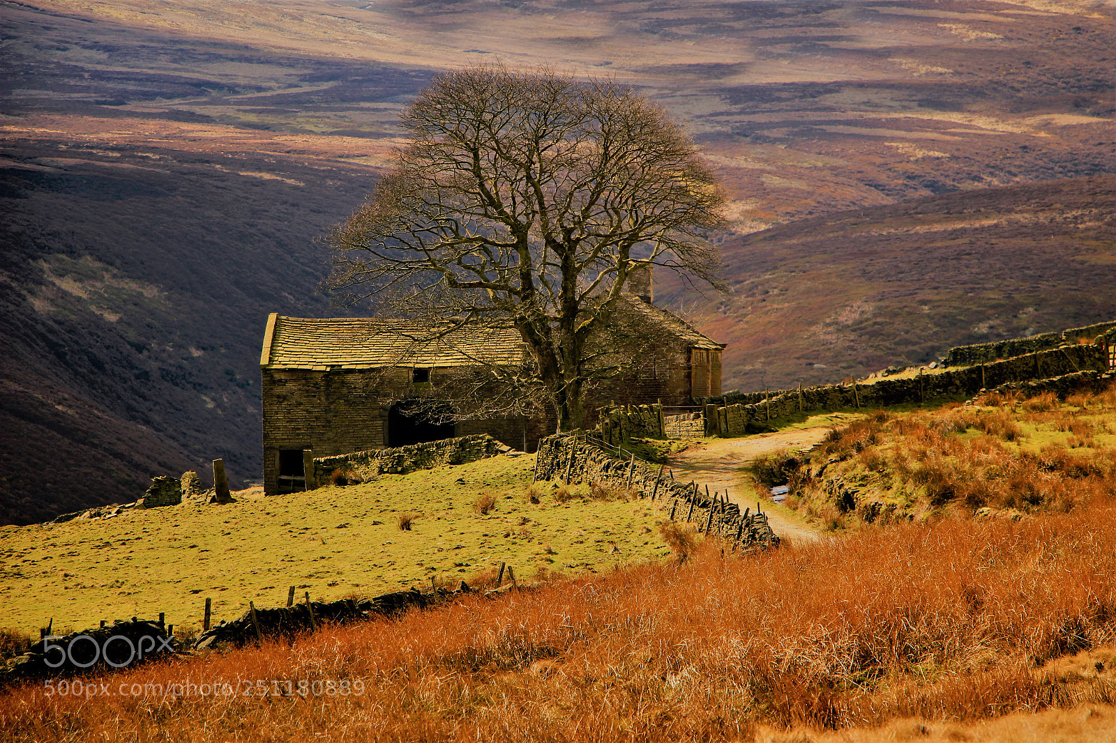Canon EOS 100D (EOS Rebel SL1 / EOS Kiss X7) sample photo. Old barn and tree photography