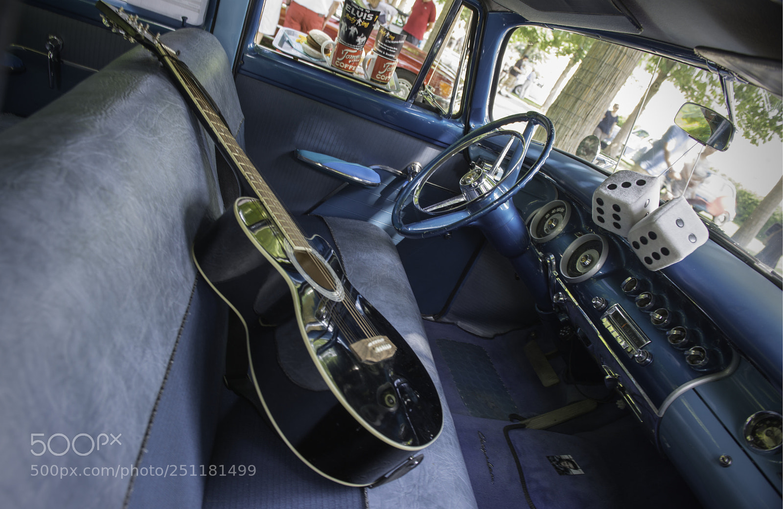 Nikon D800 sample photo. Elvis was here photography