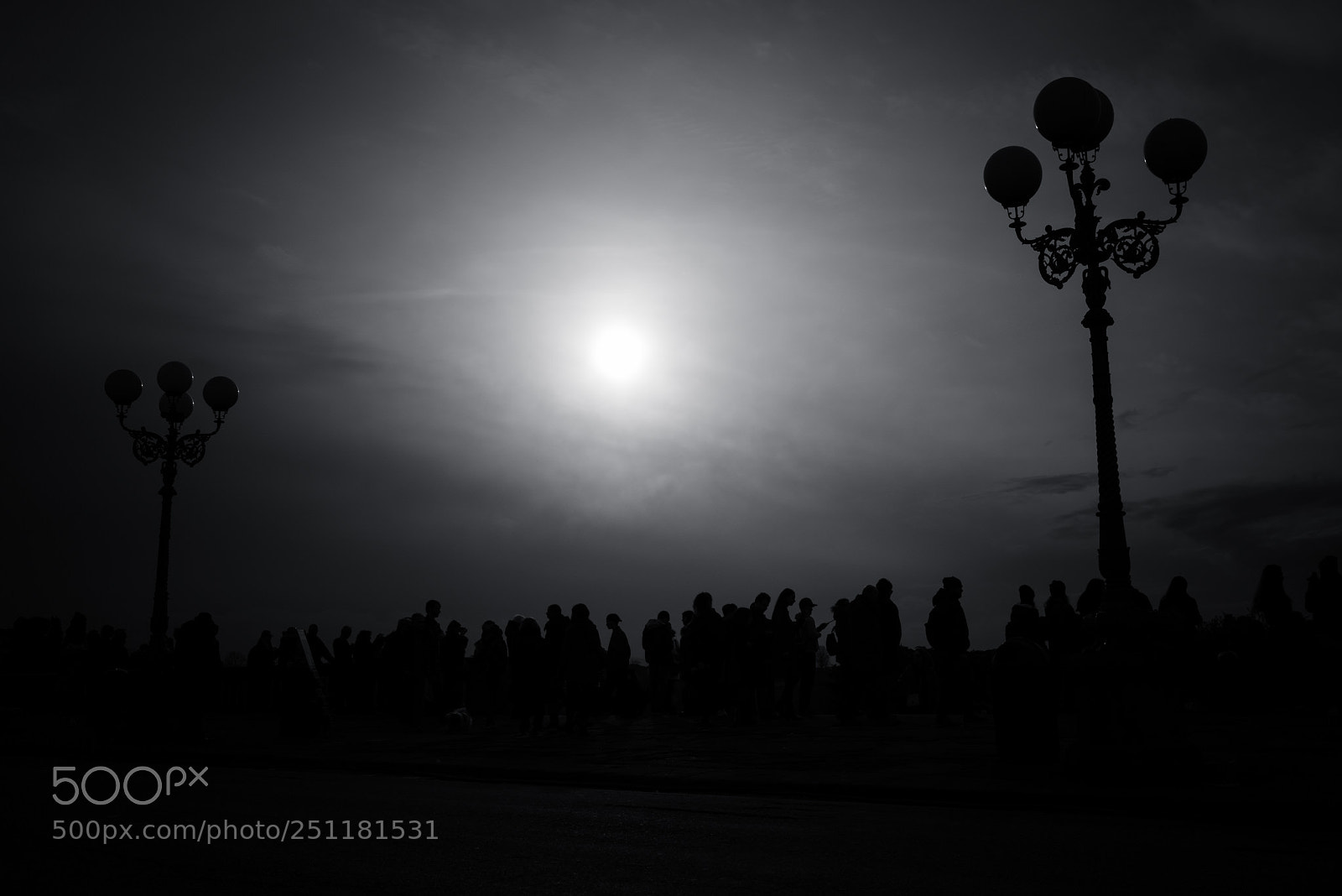 Nikon D810 sample photo. In-between photography