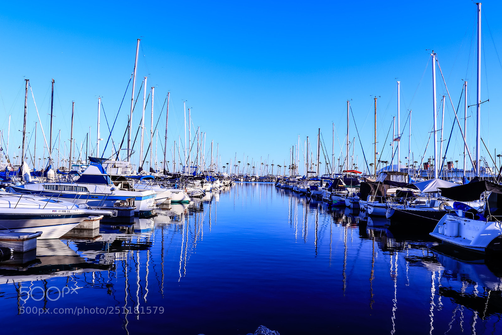 Canon EOS 5DS R sample photo. Blue photography