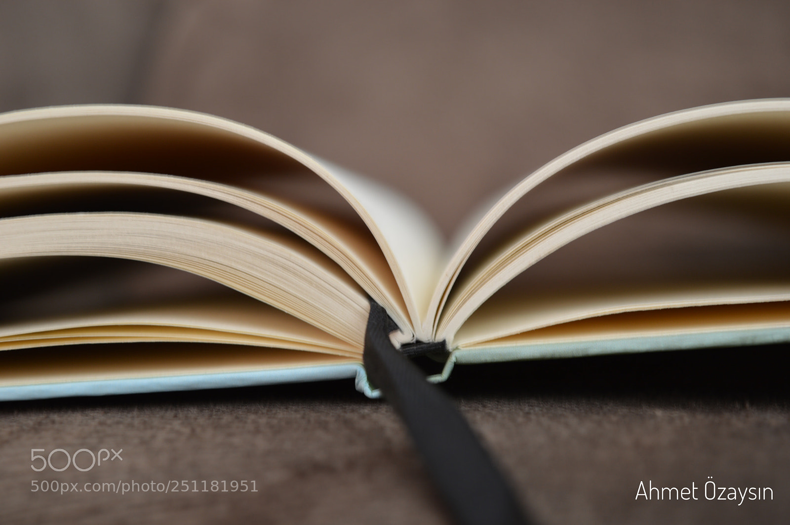Nikon D3200 sample photo. Book photography