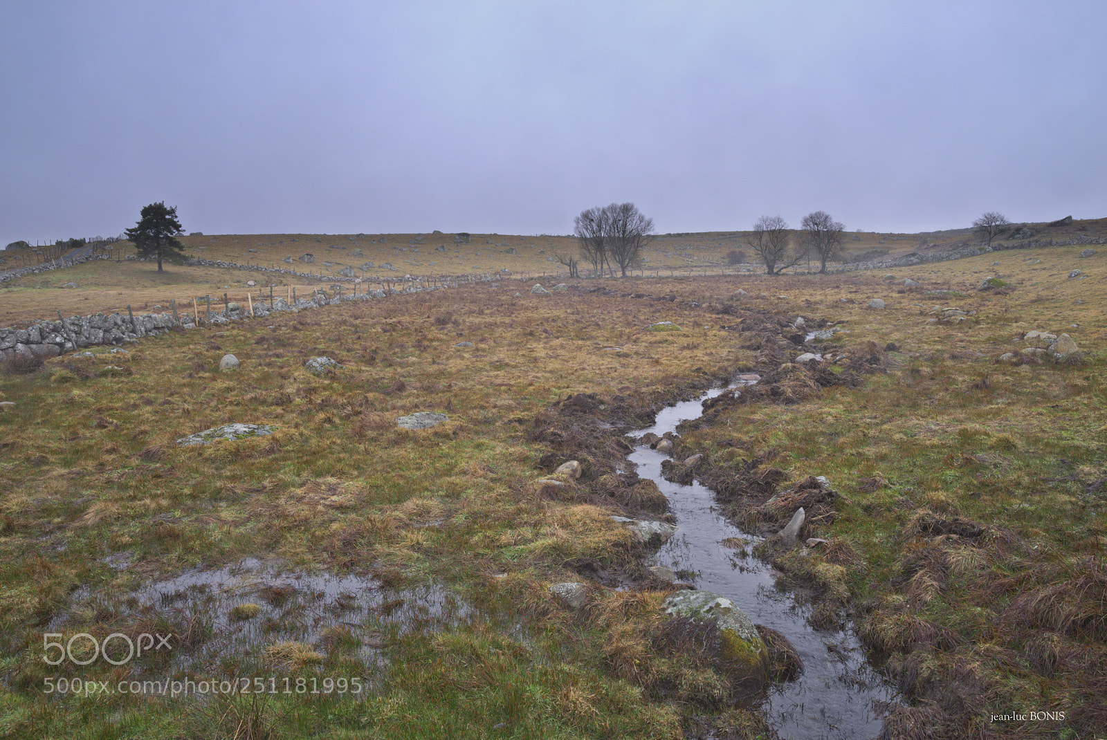 Pentax K-1 sample photo. Aubrac sous la pluie photography