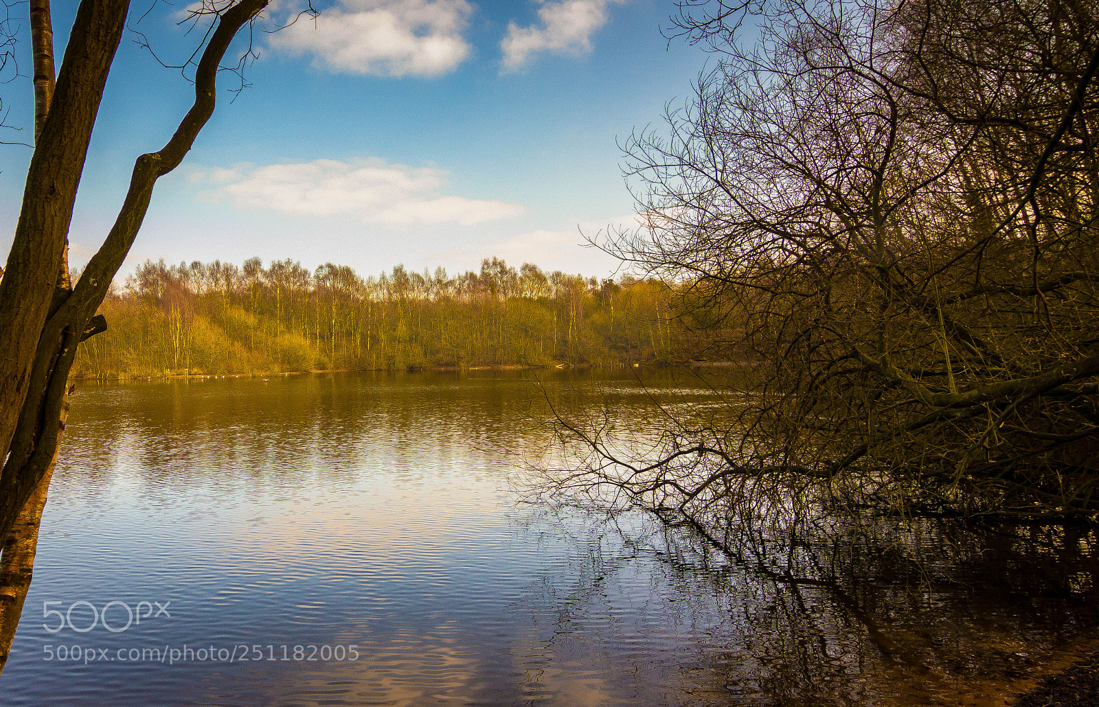 Canon EOS 60D sample photo. Brereton heath in cheshire photography