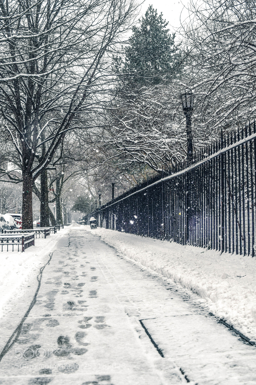 Nikon D5300 sample photo. Path photography
