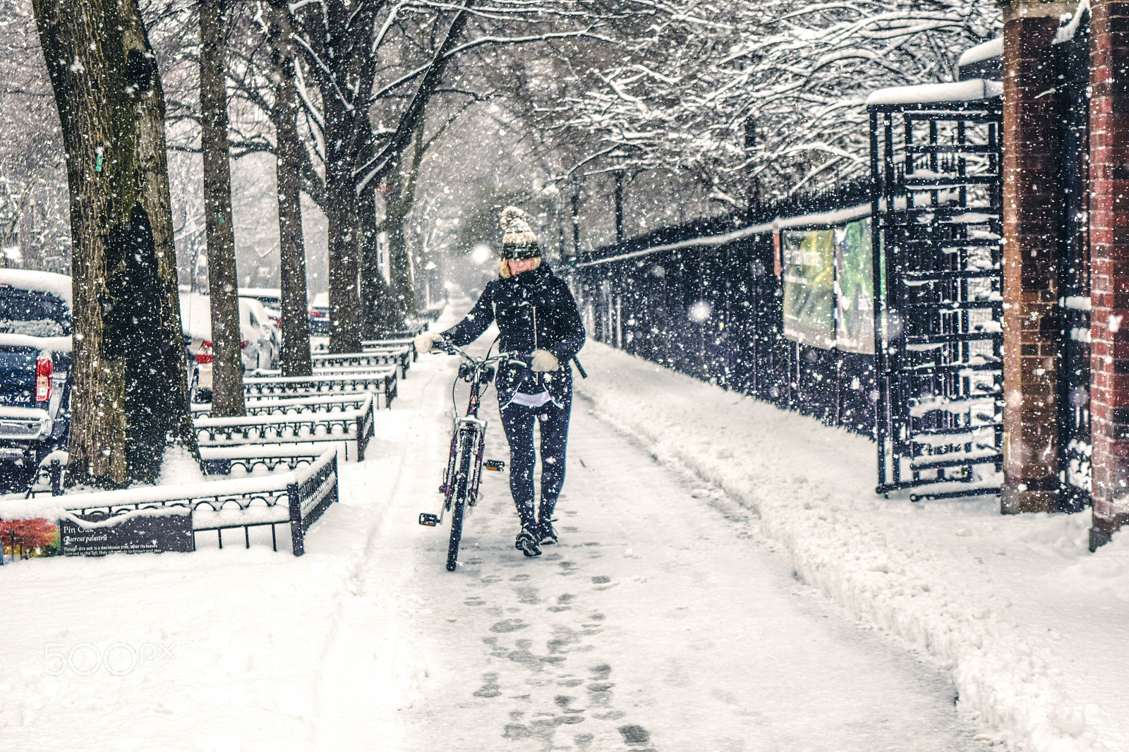 Nikon D5300 sample photo. Snow storm photography