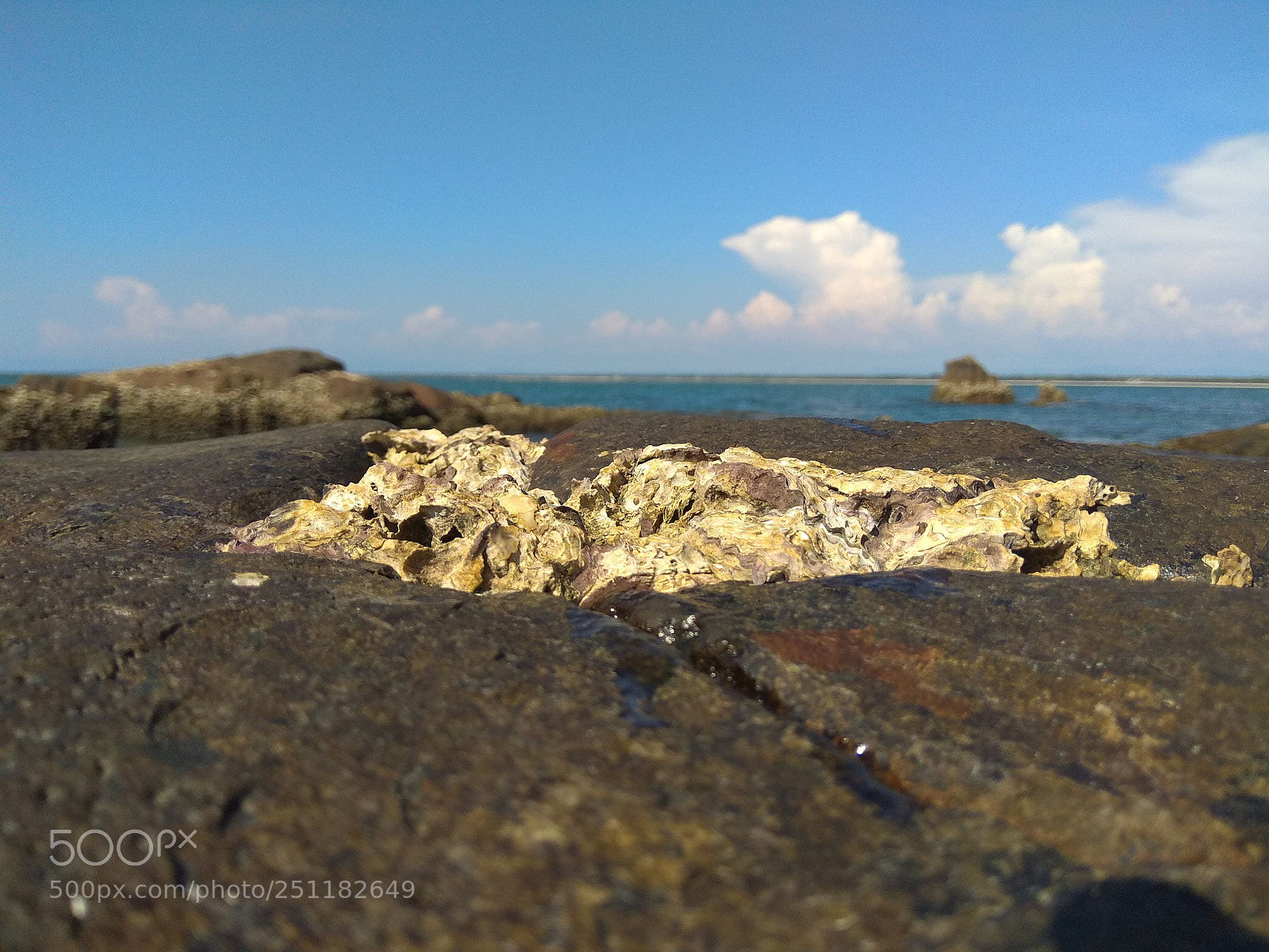 Xiaomi Redmi Note 4 sample photo. Untitled photography