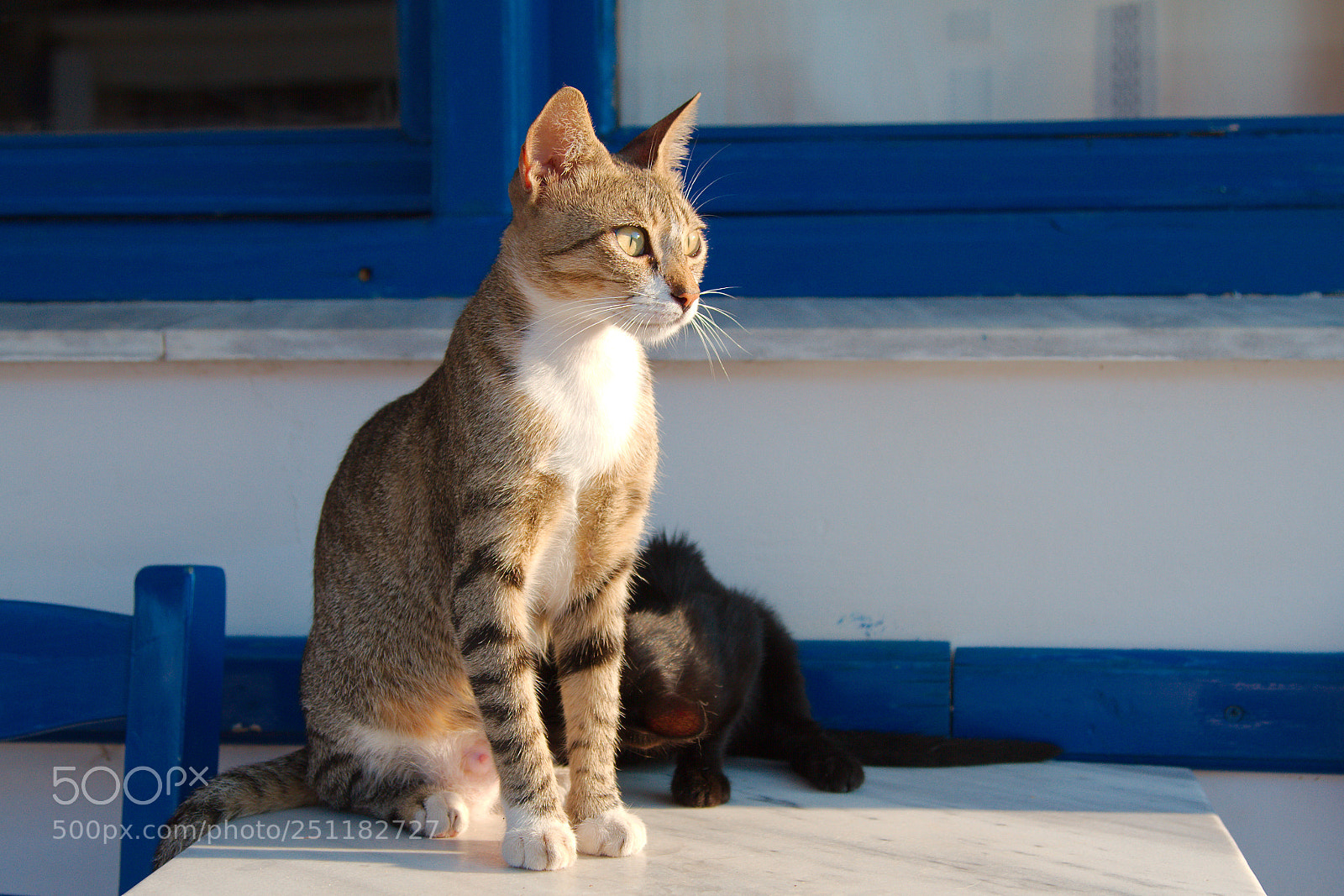 Canon EOS 7D sample photo. Enjoy the morning sun photography